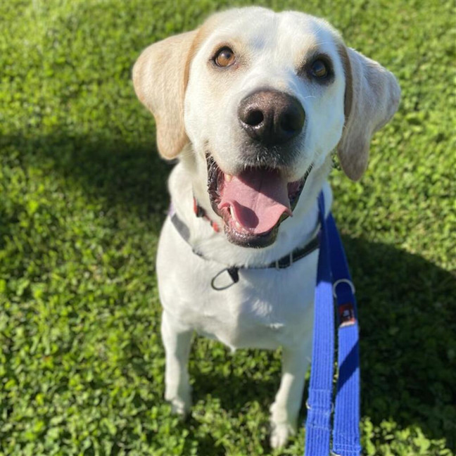 Photo of Bruce