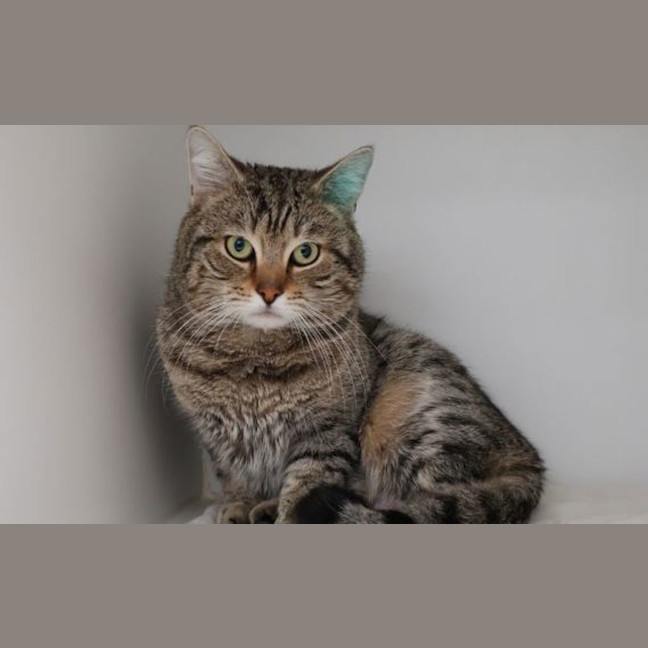 Photo of Freddy 