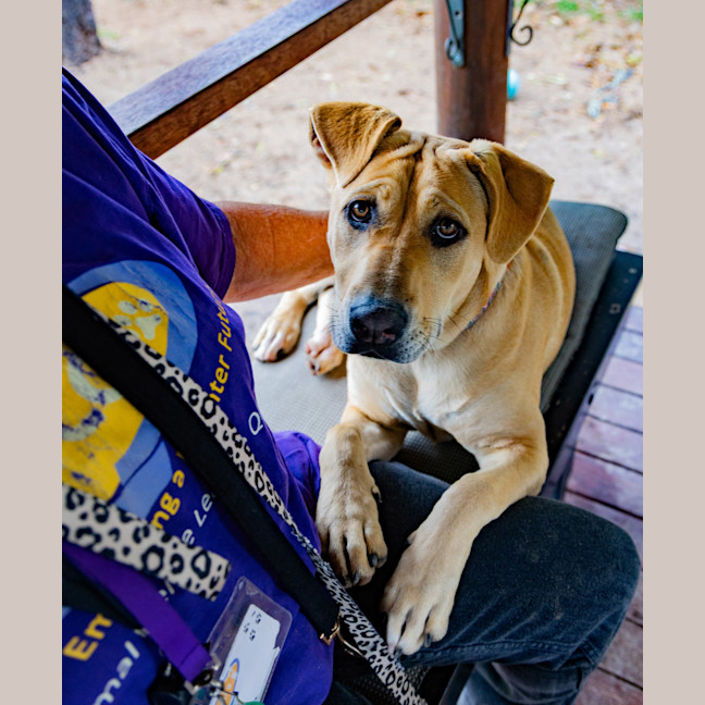 Photo of Missy