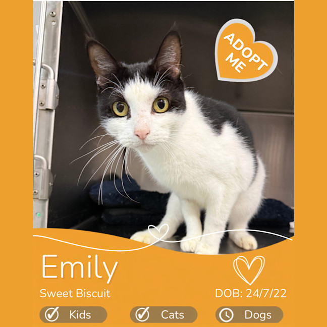 Photo of Emily