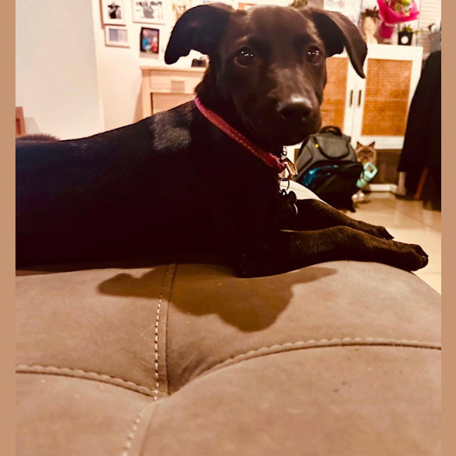 Photo of Vera