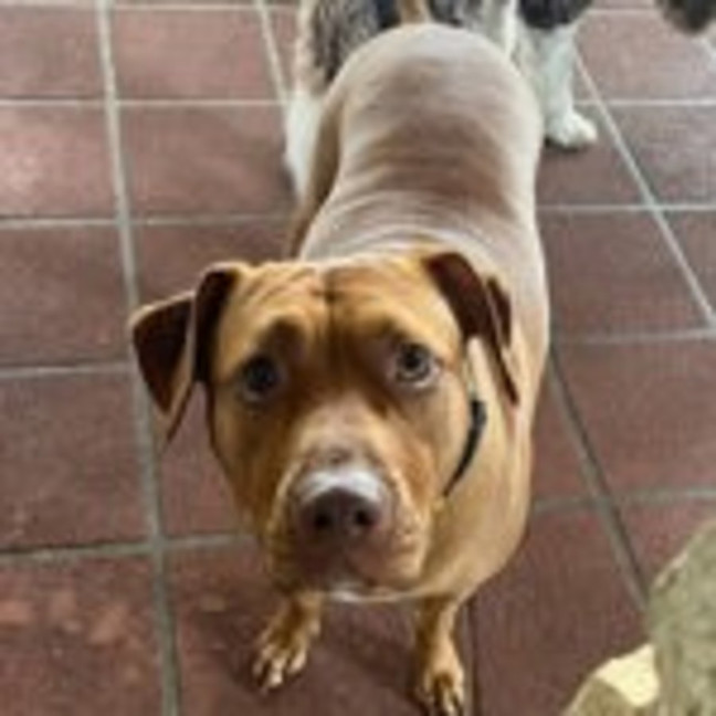 Photo of Missy