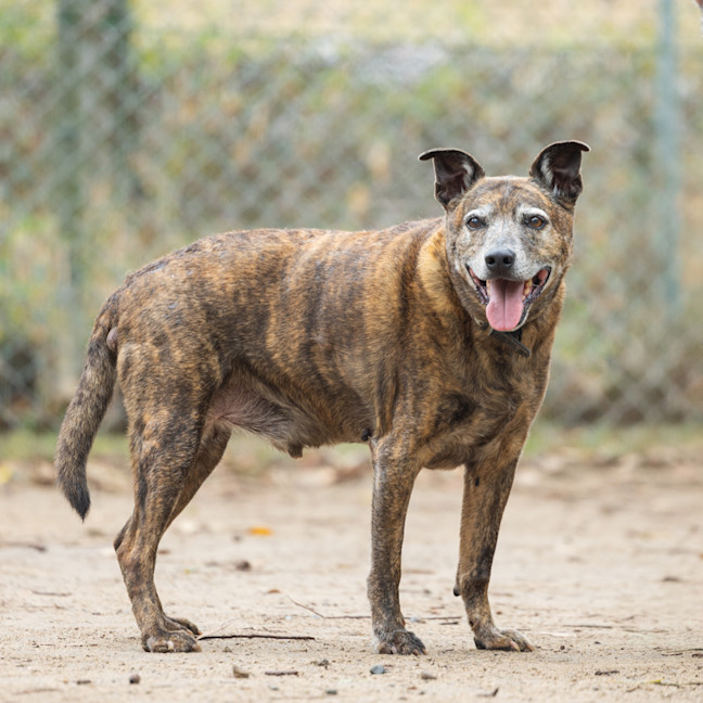 Photo of Max