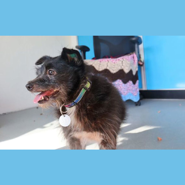 Photo of Molly