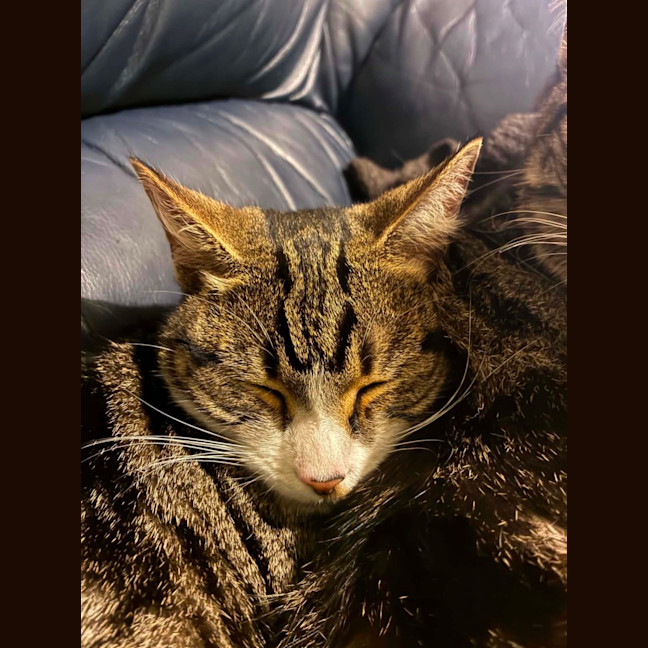 Photo of Mia