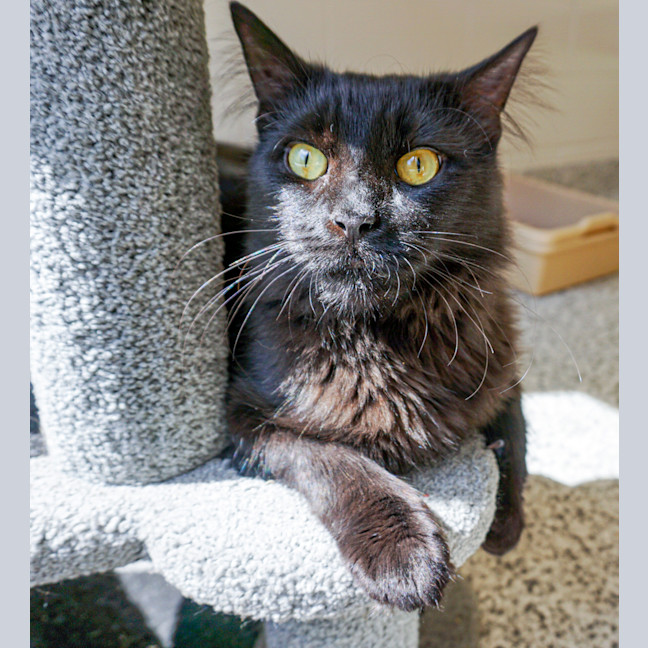 Photo of Mandu