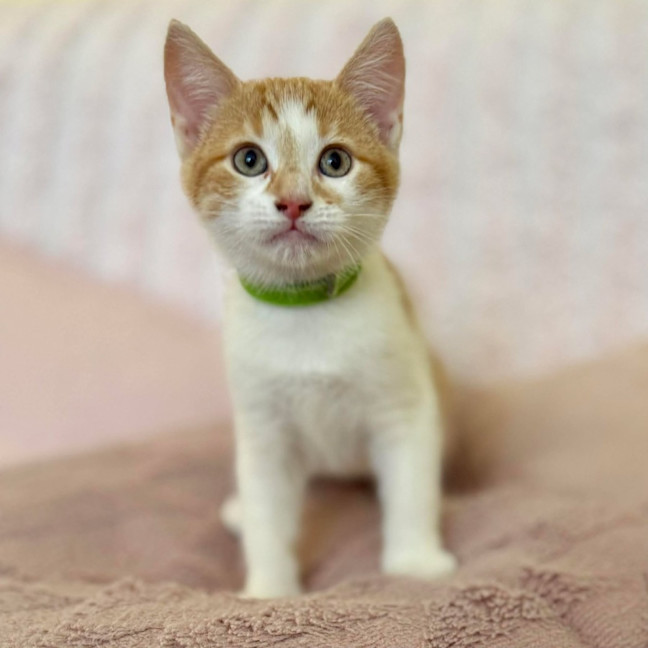 Photo of Zoe   In Foster Care In Croydon