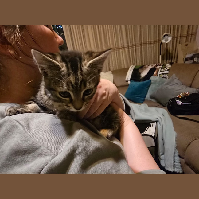 Photo of Agnes Addams