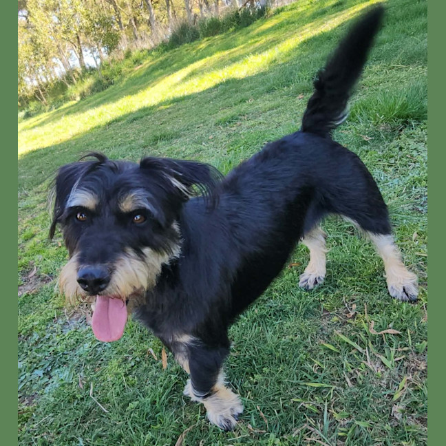 Photo of Tex