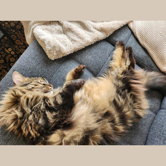 Photo of Molly Lozano