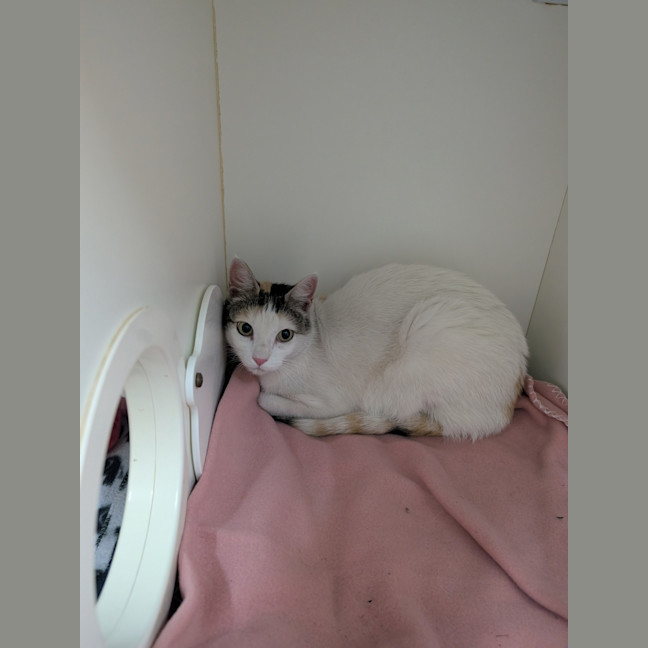 Photo of Thelma