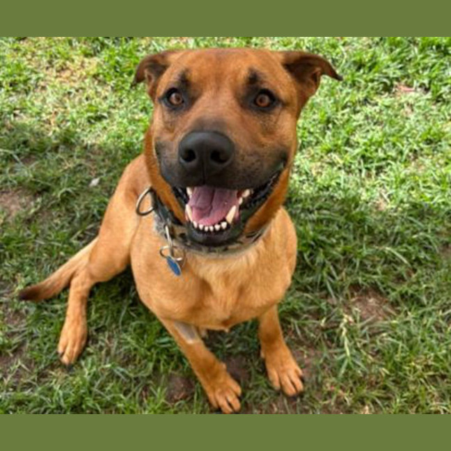 Photo of Biggie Paws