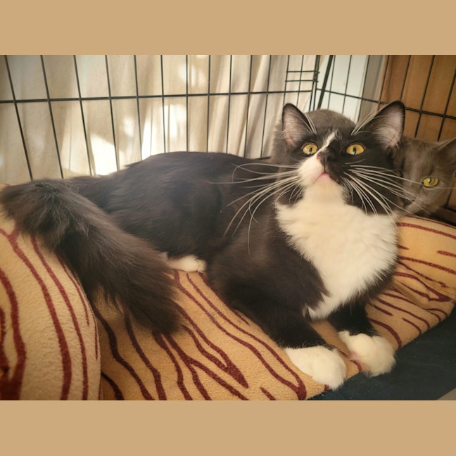 Photo of Jaxson 🖤