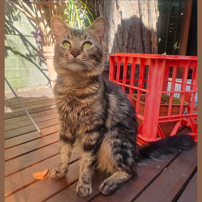 Photo of Squeak