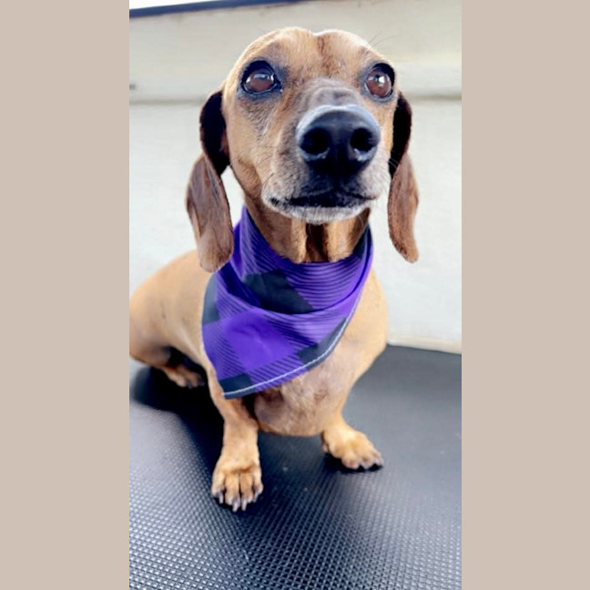 Photo of Benji And Saide