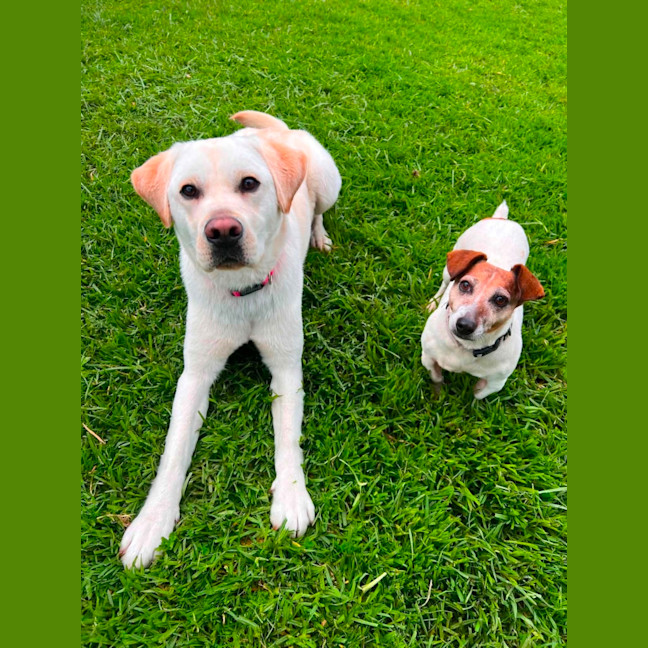 Photo of Happy