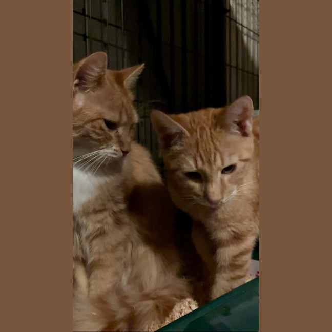 Photo of Zara And Leo