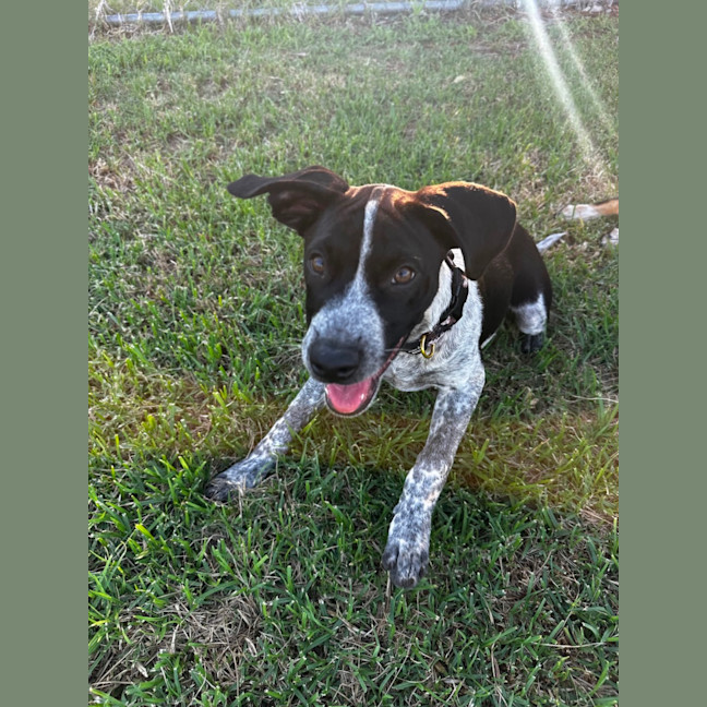 Photo of Jessie