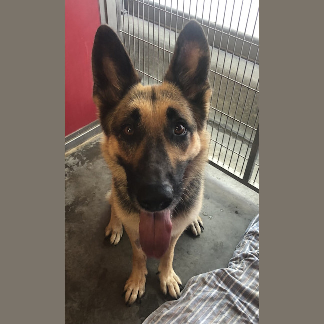 Photo of Echo