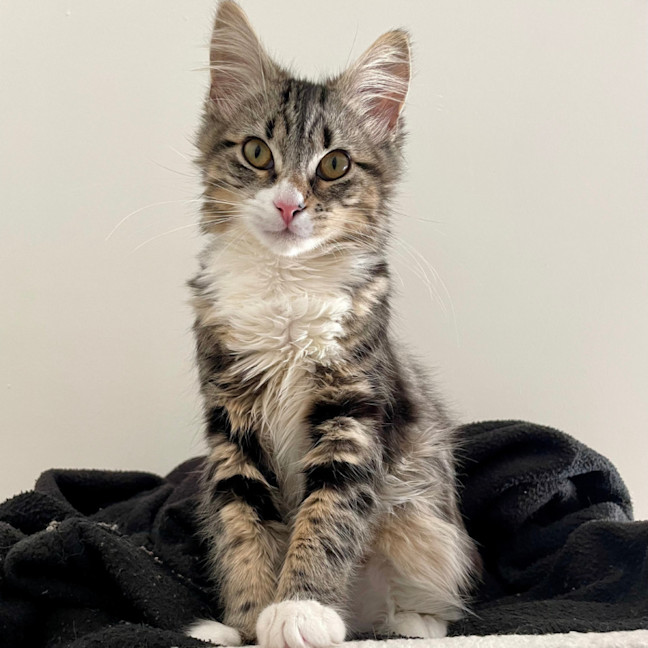 Photo of Winnie