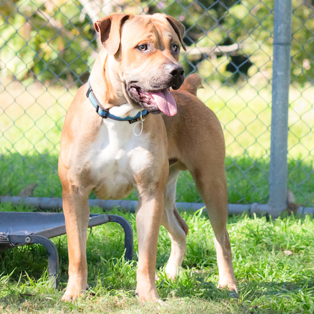 Photo of Barney 