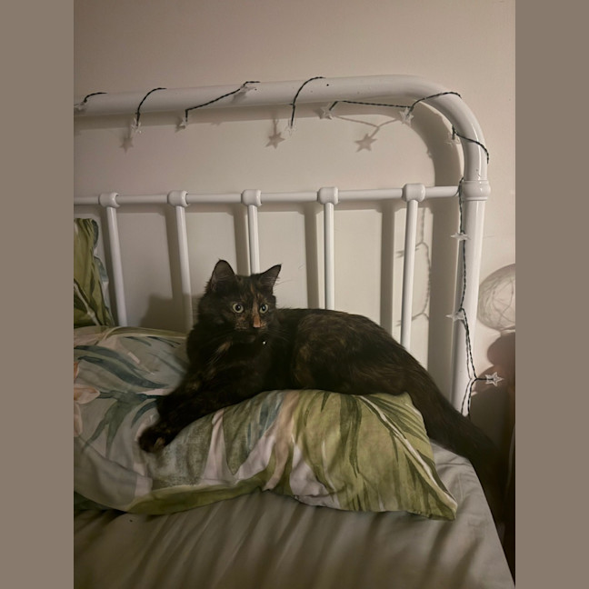 Photo of Norma