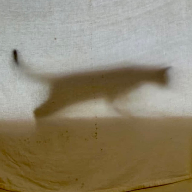 Photo of Edith   Located In Warrandyte