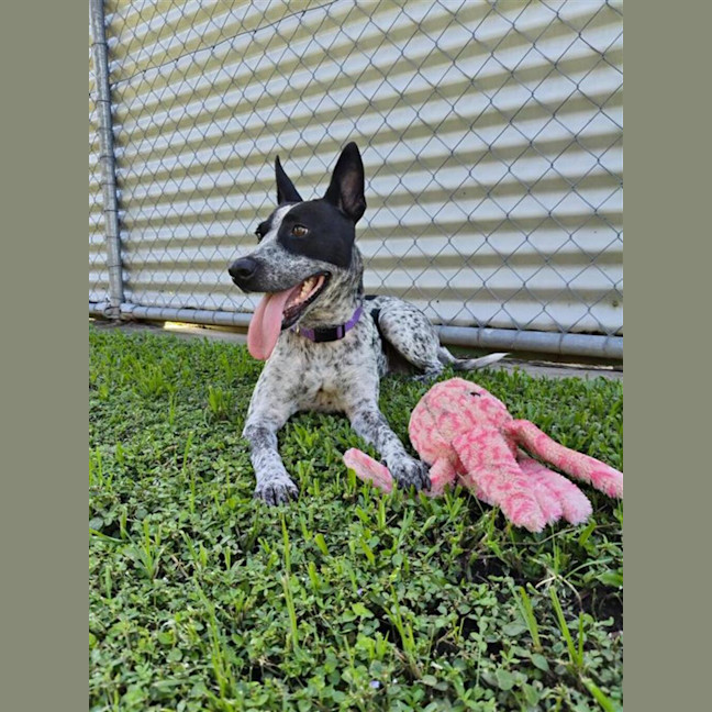 Photo of Bobbi