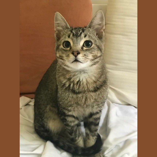 Photo of Billy And Oliver