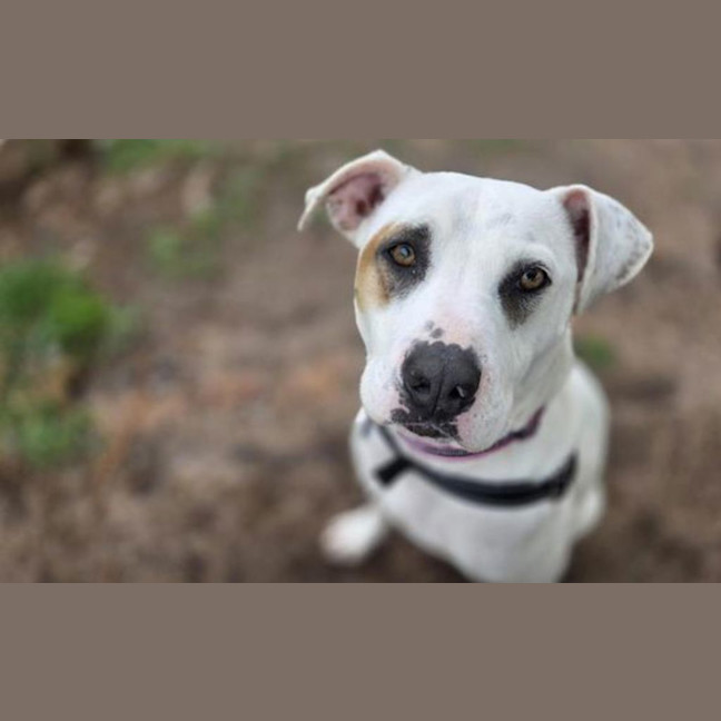 Photo of Maggie