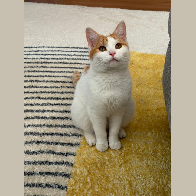 Photo of Millie