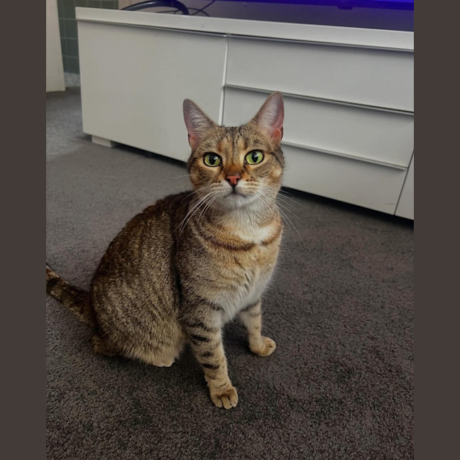 Photo of Lucy