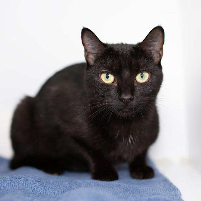 Photo of Mrs. Lovett