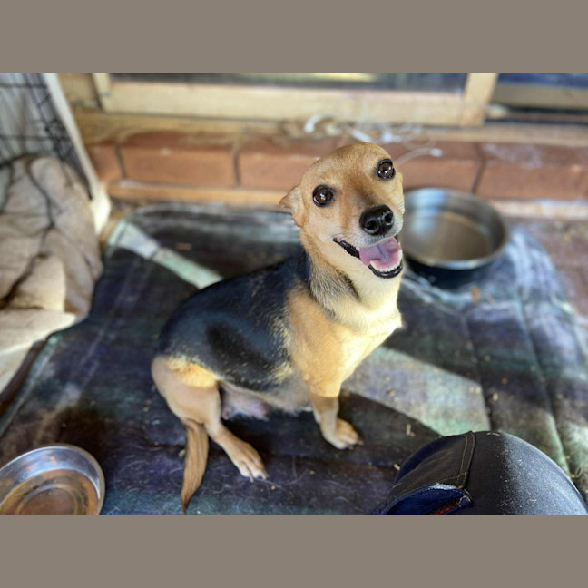 Photo of Taco