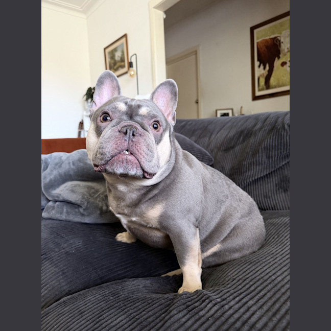 Photo of Peppa