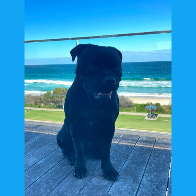 Photo of Reggie