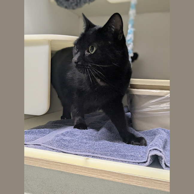 Photo of 🍤 Luca 6216 🍤