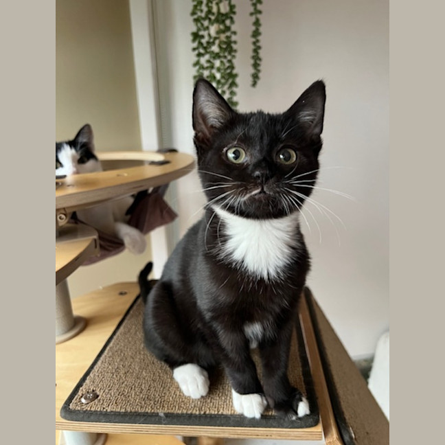 Photo of Jack & Jupiter