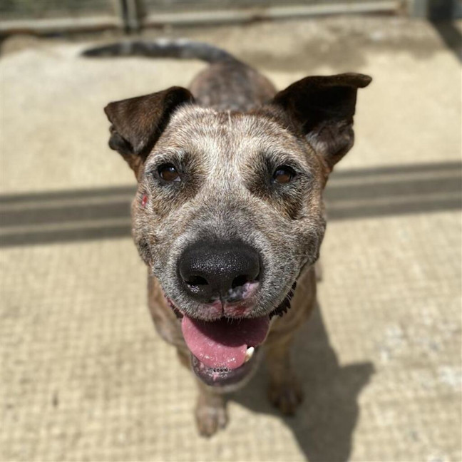 Photo of Cooper