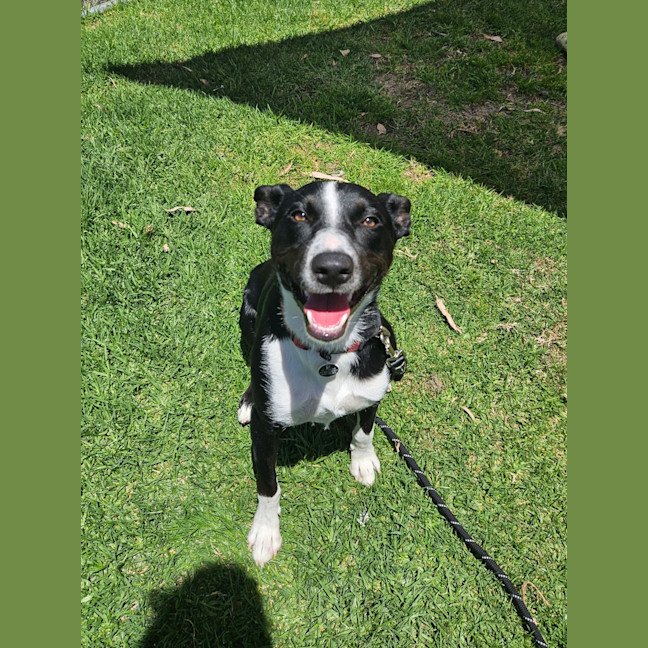 Photo of Nando (Spyro)