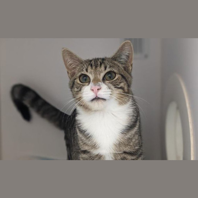 Photo of Fred