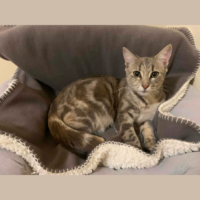 Photo of Zoe 
