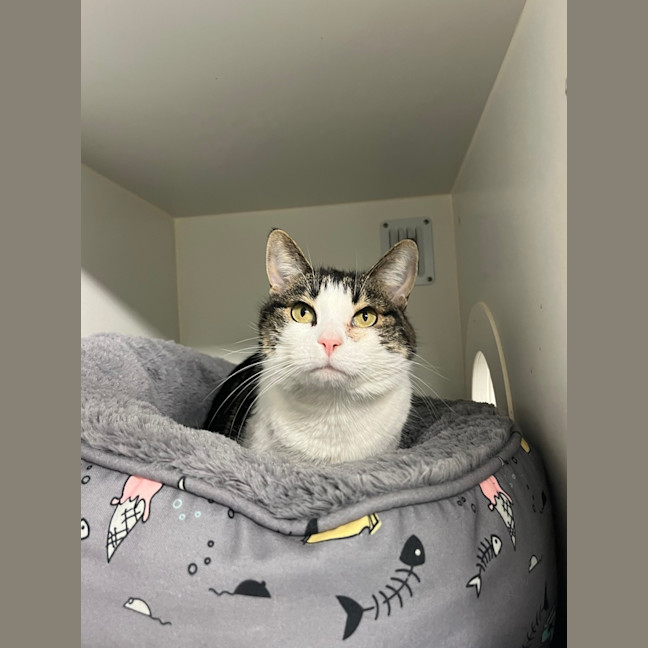 Photo of Sassy