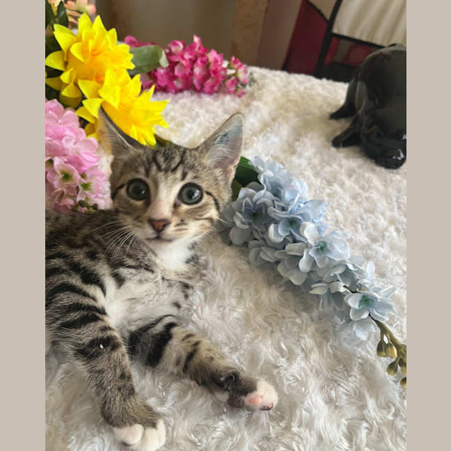 Photo of Jasper