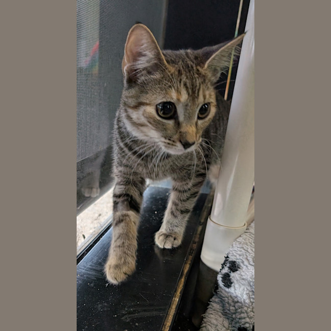 Photo of Maybe Mort?