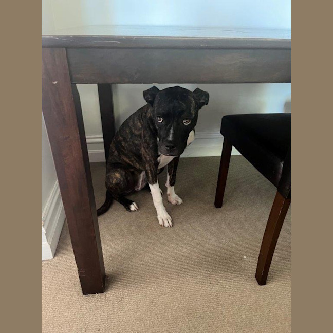 Photo of Daisy Haliwell