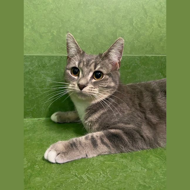 Photo of Buffy