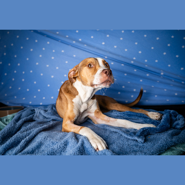 Photo of Lilah