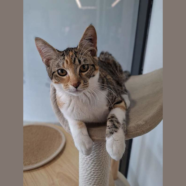 Photo of Lizzie