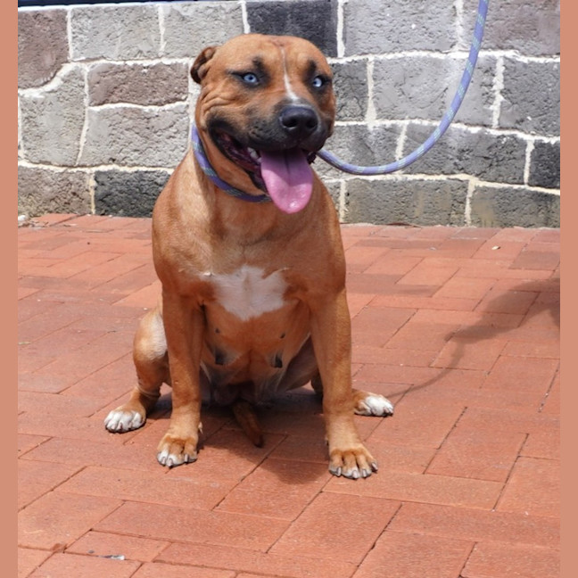 Photo of Bonnie
